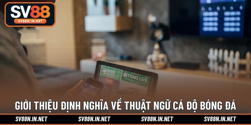 Giới thiệu định nghĩa về thuật ngữ cá độ bóng đá