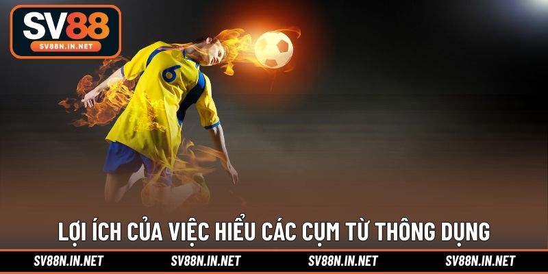 Lợi ích của việc hiểu các cụm từ thông dụng