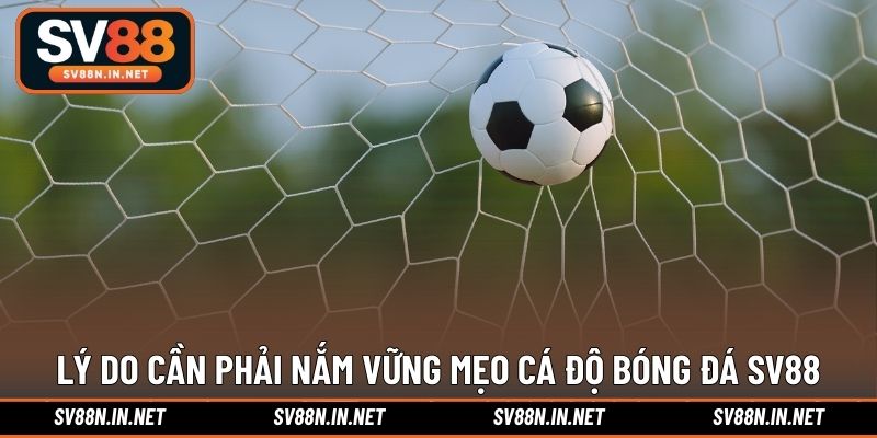 Lý do cần phải nắm vững mẹo cá độ bóng đá SV88