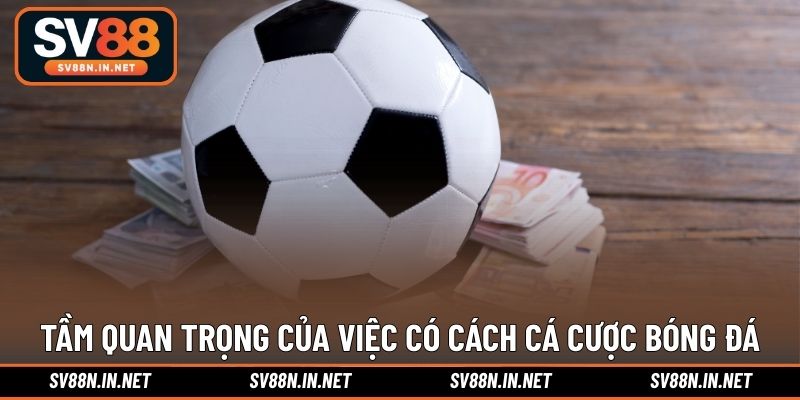 Tầm quan trọng của việc có cách cá cược bóng đá