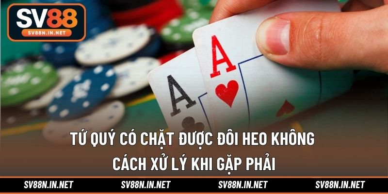 Tứ quý có chặt được đôi heo không