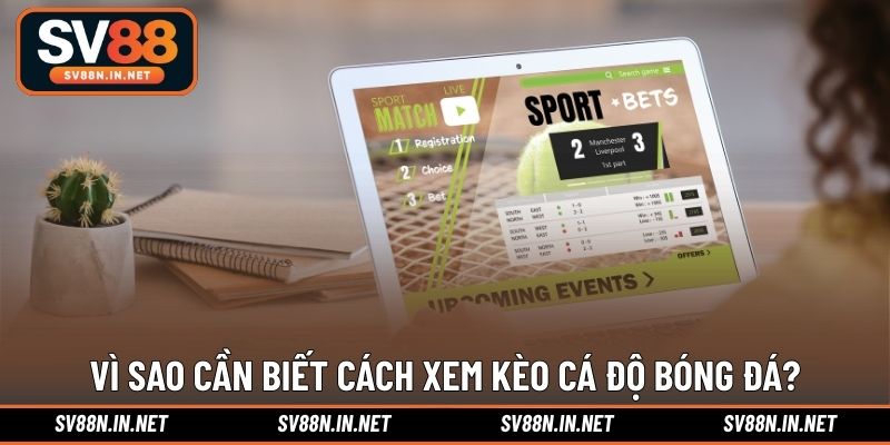 Vì sao cần biết cách xem kèo cá độ bóng đá?