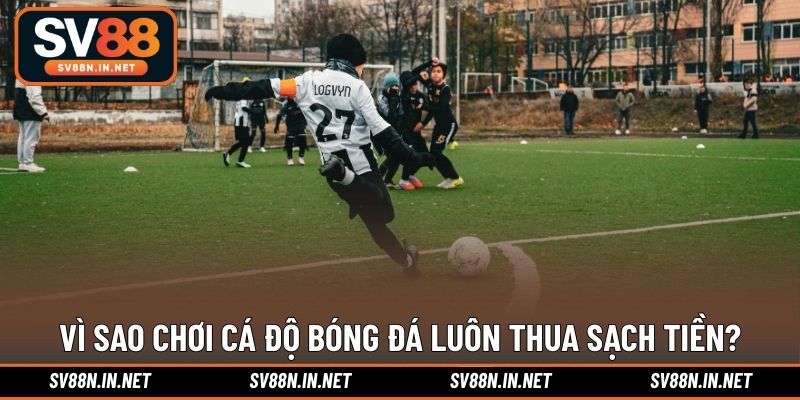 Vì sao chơi cá độ bóng đá luôn thua sạch tiền?
